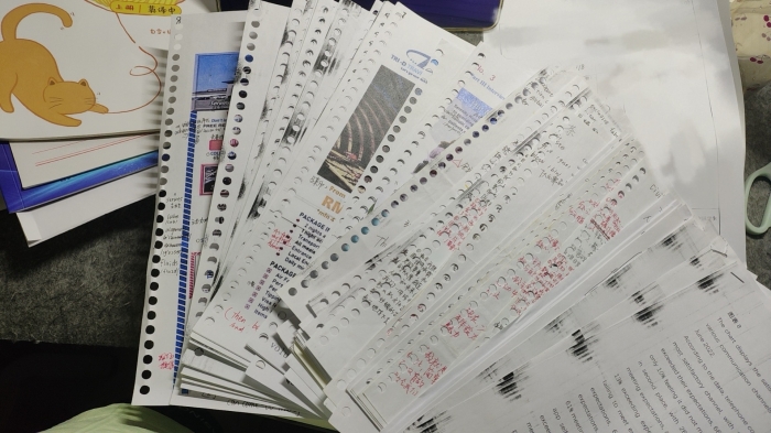 微信圖片_20260410080928_35_314.jpg